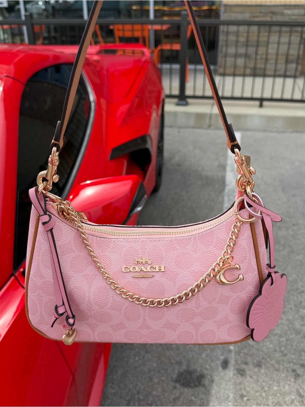 Coach Teri Pink Shoulder bag CEA 20